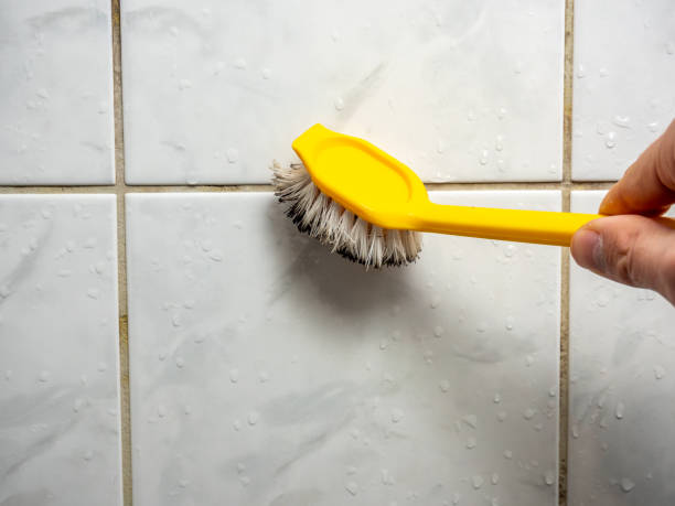 Best Mold Remediation for Schools in Flat Rock, MI