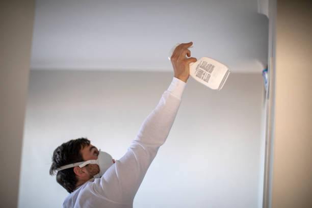 Best Kitchen Mold Remediation in Flat Rock, MI